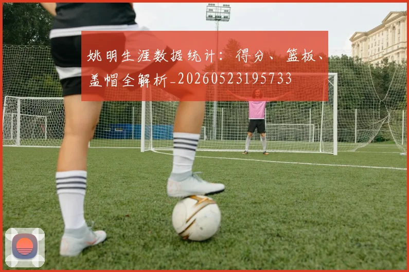 姚明生涯数据统计：得分、篮板、盖帽全解析_20260523195733