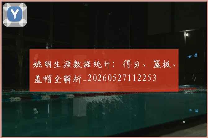 姚明生涯数据统计：得分、篮板、盖帽全解析_20260527112253